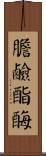 膽鹼酯酶 Scroll