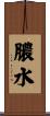 膿水 Scroll