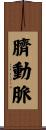 臍動脈 Scroll