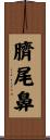 臍尾鼻 Scroll