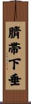 臍帯下垂 Scroll