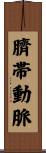 臍帯動脈 Scroll
