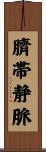 臍帯静脈 Scroll