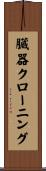 臓器クローニング Scroll