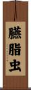 臙脂虫 Scroll