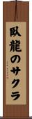 臥龍のサクラ Scroll