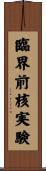 臨界前核実験 Scroll