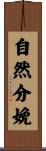 自然分娩 Scroll