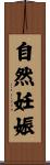 自然妊娠 Scroll