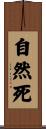 自然死 Scroll