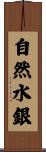 自然水銀 Scroll
