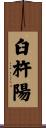 臼杵陽 Scroll