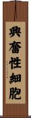 興奮性細胞 Scroll