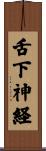 舌下神経 Scroll