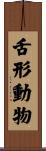 舌形動物 Scroll