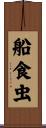 船食虫 Scroll