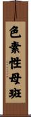 色素性母斑 Scroll