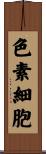 色素細胞 Scroll