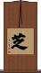 芝 Scroll