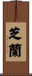 芝蘭 Scroll