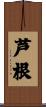 芦根 Scroll