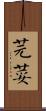 芫荽 Scroll