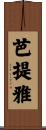 芭提雅 Scroll