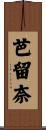 芭留奈 Scroll