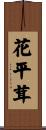花平茸 Scroll