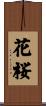 花桜 Scroll