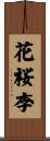 花桜李 Scroll