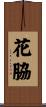 花脇 Scroll