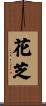 花芝 Scroll