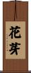 花芽 Scroll