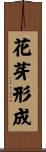 花芽形成 Scroll