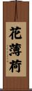 花薄荷 Scroll