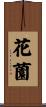 花薗 Scroll