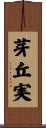 芽丘実 Scroll