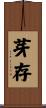 芽存 Scroll
