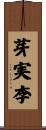 芽実李 Scroll