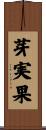 芽実果 Scroll
