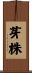 芽株 Scroll