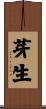 芽生 Scroll