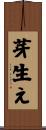 芽生え Scroll
