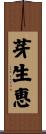 芽生恵 Scroll