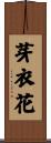 芽衣花 Scroll