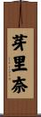芽里奈 Scroll