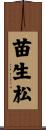 苗生松 Scroll