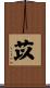 苡 Scroll