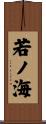 若ノ海 Scroll